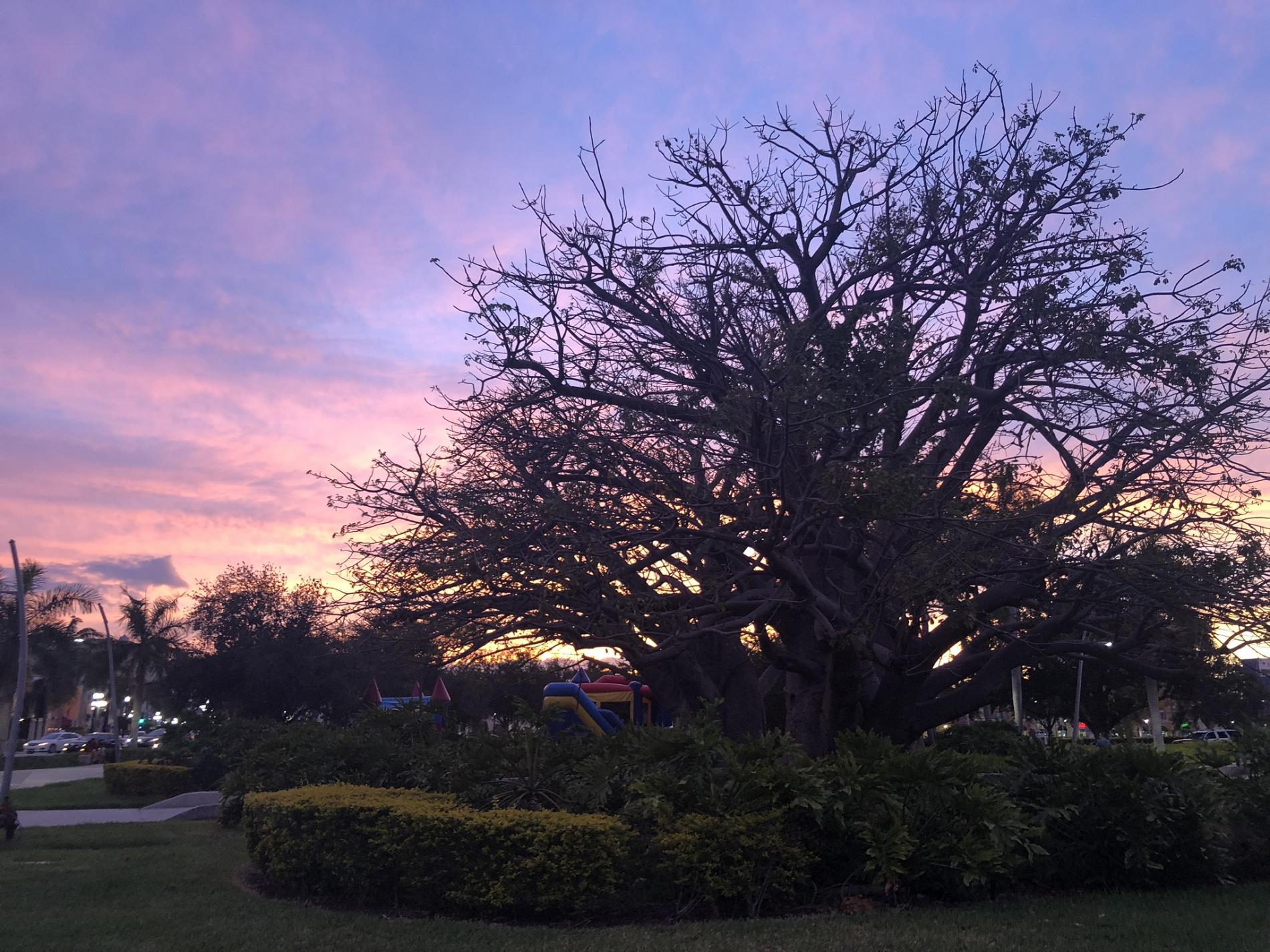 Fading sunset over ArtsPark at Young Circle after Green event